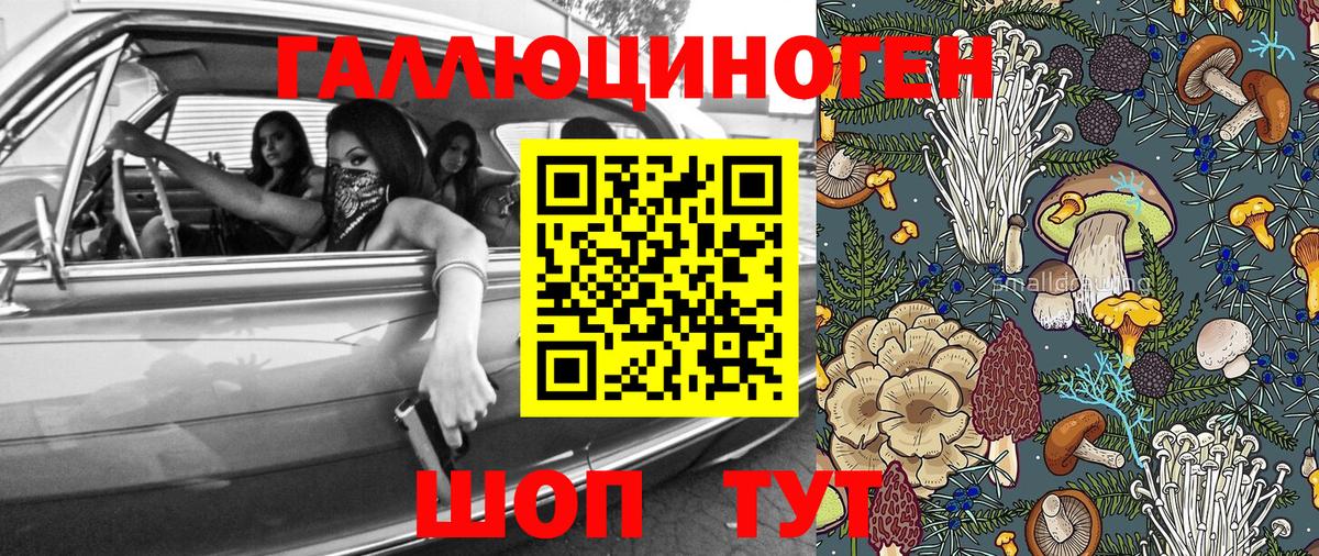 Псилоцибиновые грибы прущие грибы  Вход с VPN  Хасавюрт 